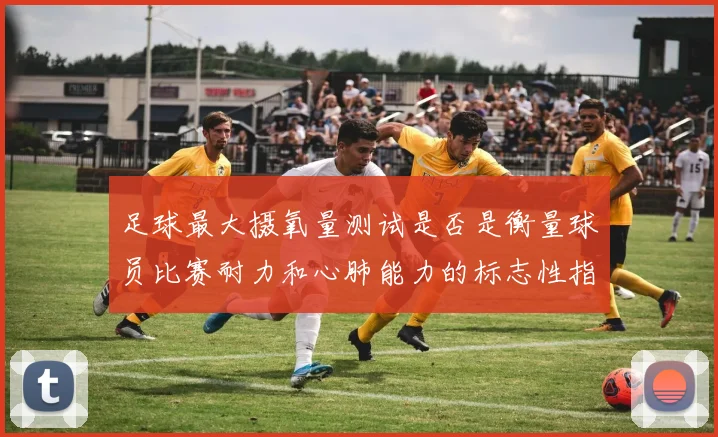 足球最大摄氧量测试是否是衡量球员比赛耐力和心肺能力的标志性指标
