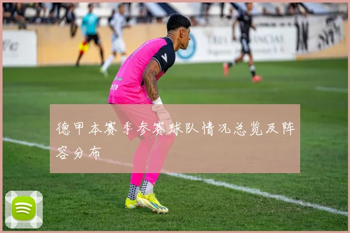 德甲本赛季参赛球队情况总览及阵容分布