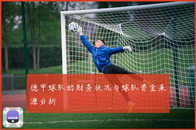 德甲球队的财务状况与球队资金来源分析