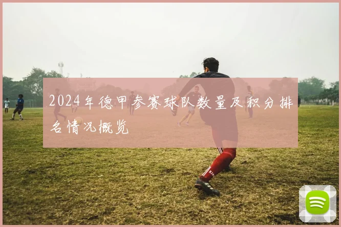 2024年德甲参赛球队数量及积分排名情况概览