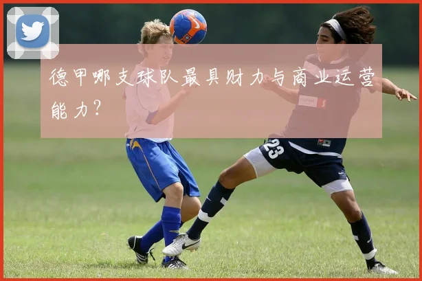 德甲哪支球队最具财力与商业运营能力？