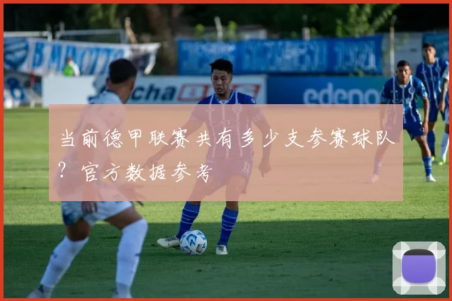 当前德甲联赛共有多少支参赛球队？官方数据参考