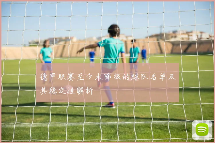 德甲联赛至今未降级的球队名单及其稳定性解析