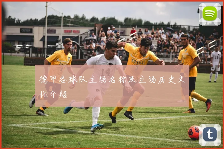 德甲各球队主场名称及主场历史文化介绍