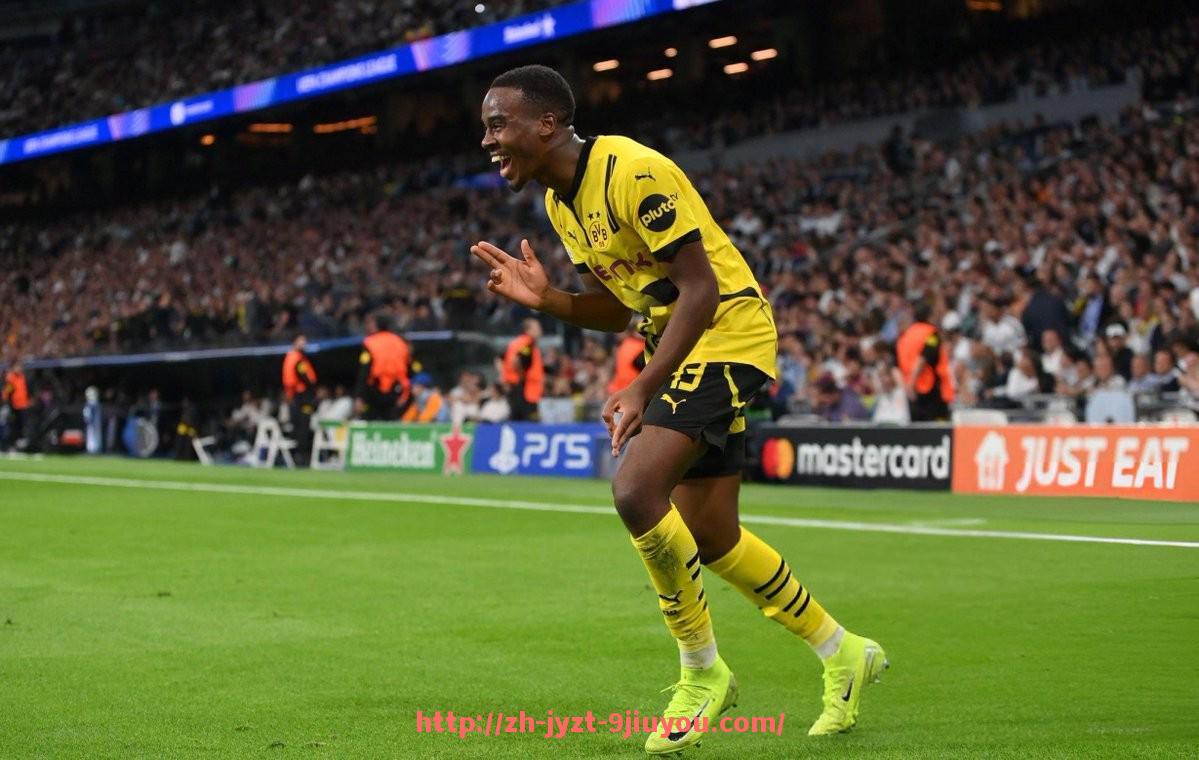 jiuyou九游娱乐-法甲里昂球迷文化建设与相关活动情况